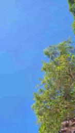 Lindamenda33 webcam model stream image