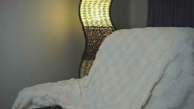 leinbone webcam model stream image