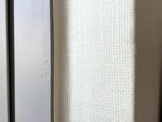 Jesse Doporto webcam model stream image