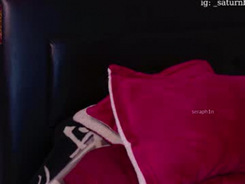 s_a_t_u_r_n webcam model stream image