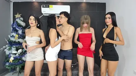 little_dolls11 webcam model stream image