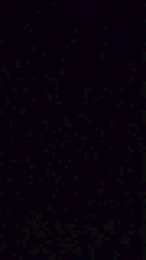 Jt14 webcam model stream image