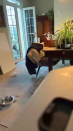 Lovetopee43 webcam model stream image