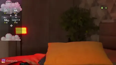 Sleepy_SIS webcam model stream image