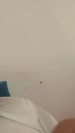 Ssucioguapo25 webcam model stream image