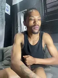 BlueIceCube webcam model stream image