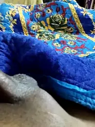 desi_pb02 webcam model stream image