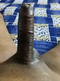 desi_pb02 webcam model stream image