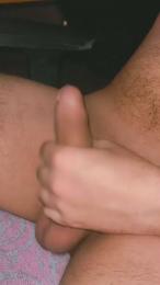 Pinguino08 webcam model stream image