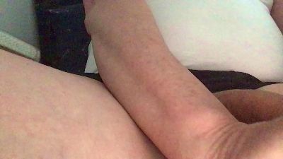 zonneke2 webcam model stream image