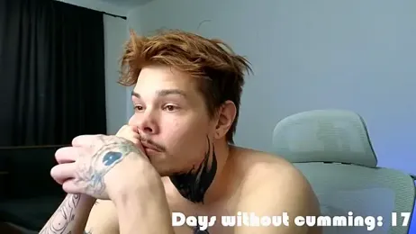 DENIS_HERE webcam model stream image