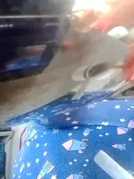 shanaya-baby77 webcam model stream image