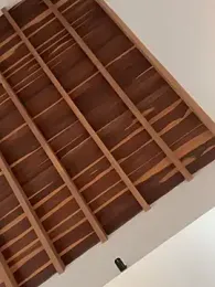 curchez_ webcam model stream image