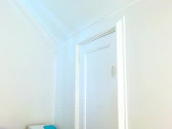 punktwink420 webcam model stream image