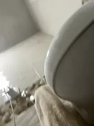 sagexh66 webcam model stream image