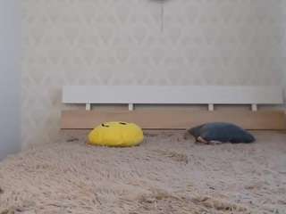 sweet700 webcam model stream image