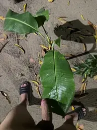 Daniel-900 webcam stripchat model stream image