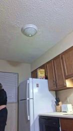 Scarlett_Jones8 webcam model stream image