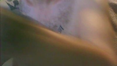 mseld webcam model stream image
