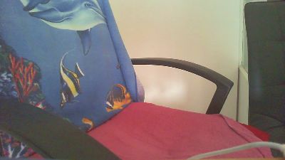 laparki webcam model stream image