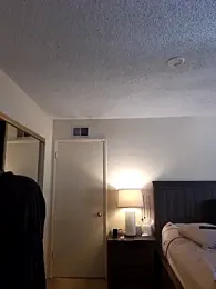 roddog2024 webcam model stream image