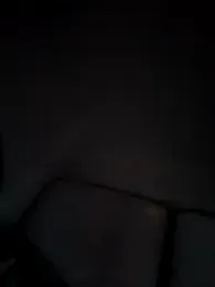 jlemr webcam model stream image