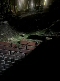 zoeartt webcam model stream image