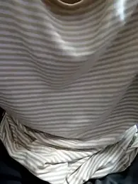 Pui-Ch webcam model stream image