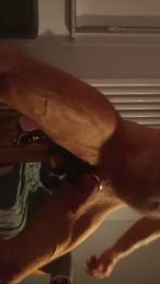 XXLDildoRider webcam cam4 model stream image