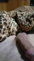 Kryis8 webcam model stream image