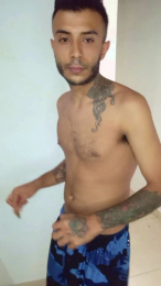 Smoketop webcam model stream image