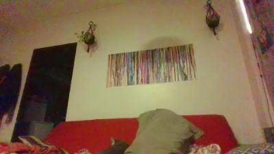 rodrilpgay webcam model stream image