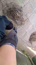 MarioeLola webcam model stream image