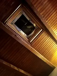 CurlyElisa webcam stripchat model stream image