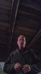 dogscout webcam model stream image