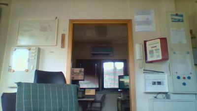 dogscout webcam model stream image