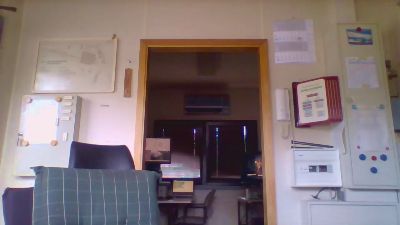 dogscout webcam cam4 model stream image