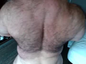bullmusclejoe webcam chaturbate model stream image
