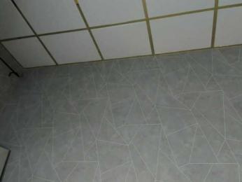 Hi-Karu webcam model stream image