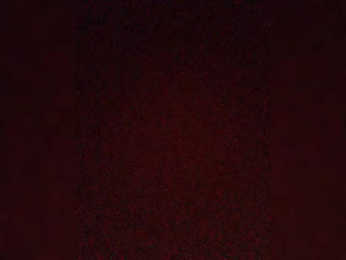 Tunnidelhi webcam model stream image