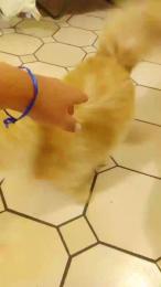 SunshineMoon89 webcam model stream image