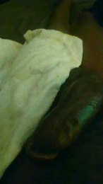 Lepadrehot webcam model stream image