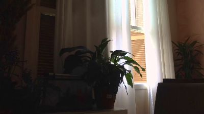 DanWolfMan webcam model stream image