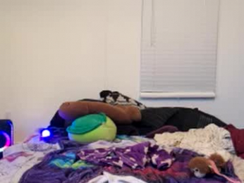 ccsethier webcam model stream image