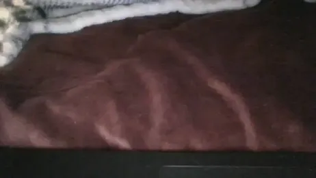 Icedonut webcam model stream image