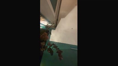 ElleestOuu webcam model stream image