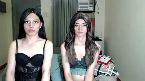 ursassytrans webcam model stream image