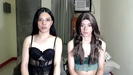 ursassytrans webcam model stream image