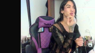 TellmeCat webcam model stream image