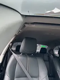 Daddy-Duc webcam stripchat model stream image